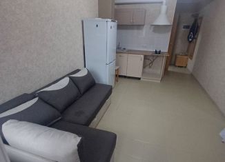 2-комнатная квартира в аренду, 40 м2, Сочи, Пятигорская улица, 54/5, микрорайон Соболевка