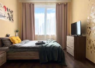 Сдача в аренду 1-комнатной квартиры, 30 м2, Мурино, Ручьёвский проспект, 9, ЖК Гринландия-2