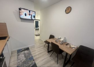 Сдам в аренду однокомнатную квартиру, 35 м2, Кингисепп, Крикковское шоссе, 34