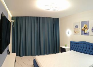 Сдам в аренду 1-комнатную квартиру, 47 м2, Белгород, Кирпичная улица