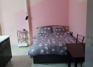 Квартира в аренду студия, 25 м2, Сочи, Малая улица, 3/7, микрорайон Старая Мацеста