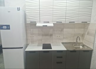 Сдается в аренду 2-комнатная квартира, 45 м2, Ростов-на-Дону, проспект Ленина, 15