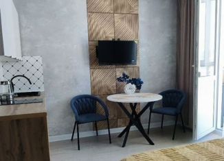 Сдаю в аренду квартиру студию, 29 м2, Новороссийск, улица Котанова, 2