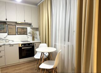 Сдаю квартиру студию, 26 м2, Мурино, проспект Авиаторов Балтики, 25, ЖК Авиатор