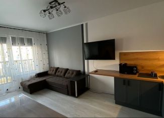 Сдаю квартиру студию, 25.4 м2, посёлок Шушары, Колпинское шоссе, 127