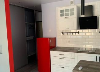 Сдача в аренду квартиры студии, 25 м2, Санкт-Петербург, проспект Королёва, 62, муниципальный округ Коломяги