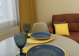 Сдается в аренду квартира студия, 25 м2, Челябинск, улица Дмитрия Неаполитанова, 50, Советский район