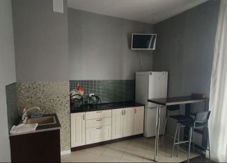 Сдаю квартиру студию, 25 м2, Мурино, бульвар Менделеева, 11к2