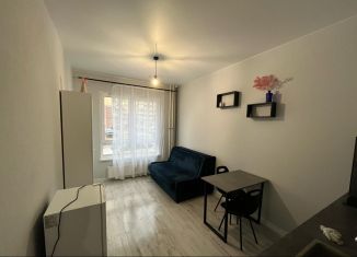 Квартира в аренду студия, 20 м2, деревня Новое Девяткино, Арсенальная улица, 11, ЖК Девяткино