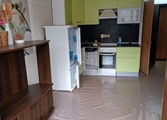 Продаю квартиру студию, 31 м2, деревня Хохряки, Тепличная улица, 30