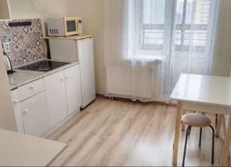 Сдаю в аренду 1-комнатную квартиру, 31 м2, Санкт-Петербург, Русановская улица, 18к3, метро Обухово