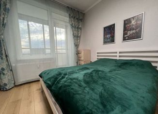 Квартира в аренду студия, 25 м2, Сертолово