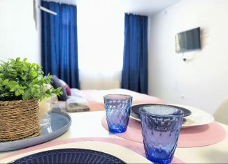 Сдам в аренду квартиру студию, 27 м2, Тюмень, Алматинская улица, Ленинский округ