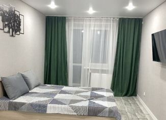 Сдается в аренду 1-комнатная квартира, 38 м2, Республика Башкортостан, Московский проспект, 20