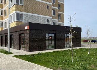 Помещение свободного назначения в аренду, 50 м2, Краснодар, улица Красных Партизан, 1/4к17, микрорайон Славянский