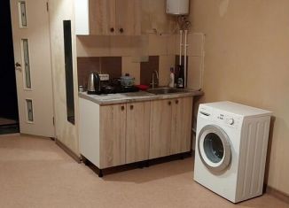 Сдается в аренду квартира студия, 25 м2, Новосибирская область, Станционная улица, 60/12