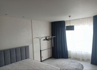 Сдам в аренду 1-ком. квартиру, 50.5 м2, Пермь, улица Чернышевского, 15А, ЖК Альпийская Горка