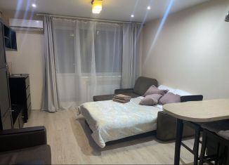 Аренда квартиры студии, 25 м2, Санкт-Петербург, улица Шкапина, 9-11, метро Балтийская