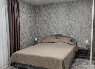 Сдача в аренду однокомнатной квартиры, 30 м2, Тихвин, 1-й микрорайон, 1