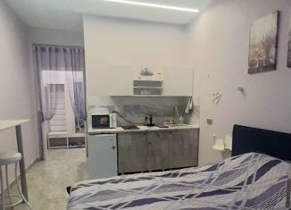 Сдам в аренду квартиру студию, 25 м2, Гатчина, Пушкинское шоссе, 1