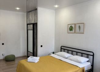 Аренда квартиры студии, 30 м2, Астрахань, улица Савушкина, 6Ж