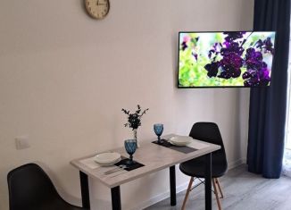 Сдаю однокомнатную квартиру, 36 м2, поселок Бугры, Тихая улица