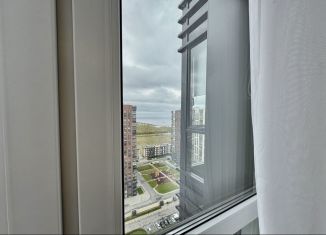 Однокомнатная квартира в аренду, 38 м2, Санкт-Петербург, проспект Героев, 33, метро Проспект Ветеранов