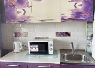 Продажа 1-комнатной квартиры, 25.5 м2, Томск, улица Елизаровых, 76