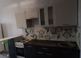 Сдается 1-ком. квартира, 42 м2, Пермь, улица Чернышевского, 17Г, ЖК Альпийская Горка