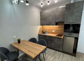 Сдаю в аренду 1-ком. квартиру, 33 м2, Республика Башкортостан, улица Гафури, 88