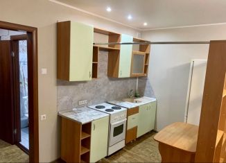 Сдам в аренду квартиру студию, 33 м2, Новосибирск, улица Виталия Потылицына, 1, Октябрьский район