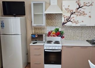 Сдается в аренду квартира студия, 24 м2, Мурино, проспект Авиаторов Балтики, 7к1, ЖК Виктория