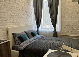 Аренда квартиры студии, 17 м2, Санкт-Петербург, улица Марата, 77, Центральный район