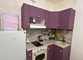 Сдается квартира студия, 25 м2, Кудрово, проспект Строителей, 20к1
