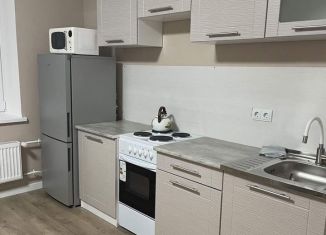 Сдается квартира студия, 24.7 м2, поселок городского типа Стройкерамика, улица Николая Симонова, 19