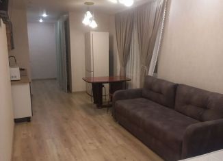 Квартира в аренду студия, 37 м2, Республика Башкортостан, улица Ленина, 162/1