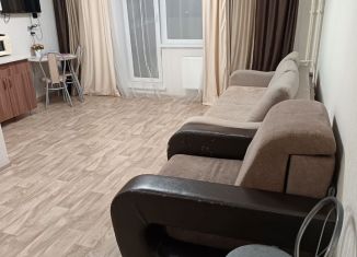 Сдается в аренду квартира студия, 26 м2, Челябинск, улица Дмитрия Неаполитанова, 50, Советский район