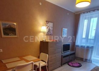 Продам квартиру студию, 27 м2, Санкт-Петербург, улица Лётчика Лихолетова, 14к3, муниципальный округ Сосновая Поляна