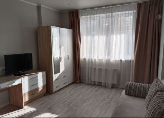 Сдается в аренду квартира студия, 28 м2, Челябинск, улица Университетская Набережная, 54