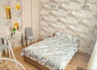 Сдается квартира студия, 33 м2, Ростов-на-Дону, Магнитогорская улица, 2Б, ЖК Екатерининский