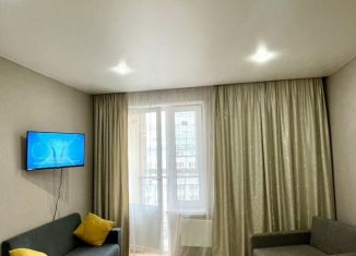 Сдаю в аренду 1-ком. квартиру, 39 м2, Среднеуральск, Набережная улица, 1Г