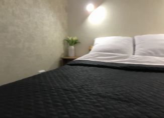 1-ком. квартира в аренду, 34.6 м2, Нижний Новгород, улица Романтиков, 8