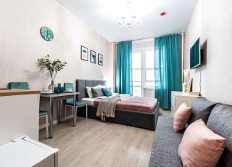 Квартира в аренду студия, 24 м2, Санкт-Петербург, Пулковское шоссе, 14с6, муниципальный округ Звёздное