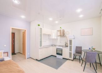 Сдача в аренду квартиры студии, 29 м2, Тюмень, Верхнетарманская улица, 5, Ленинский округ