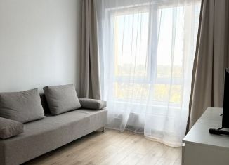 Аренда 1-комнатной квартиры, 32.2 м2, деревня Новое Девяткино, Главная улица, 8к1