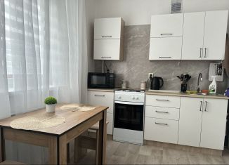 Аренда 1-ком. квартиры, 33.3 м2, Сухой Лог, переулок Фрунзе, 2А