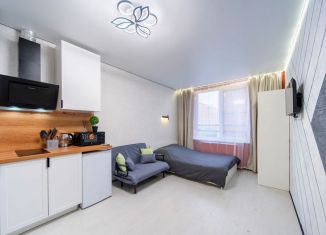 Сдаю квартиру студию, 25 м2, Санкт-Петербург, Измайловский бульвар, метро Балтийская