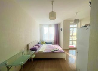 Продам квартиру студию, 25.3 м2, Екатеринбург, улица Крестинского, 4, ЖК Новая ботаника
