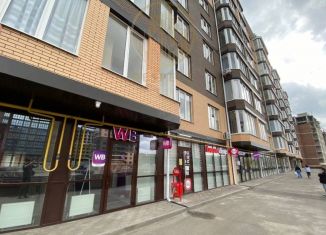 Продам помещение свободного назначения, 47 м2, Ессентуки, улица Шмидта, 96