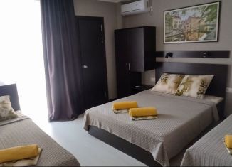 Коттедж в аренду, 40 м2, Сочи